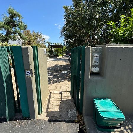 Apulian Way Lejlighed Torre A Mare Eksteriør billede